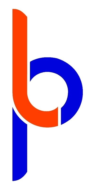 Kathrine Logan ~ Paragon Life Realty  logo